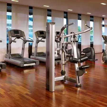 Sheraton Frankfurt Airport & Conference Center Ξενοδοχείο 4*