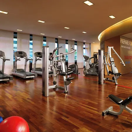 Sheraton Frankfurt Airport & Conference Center 4*