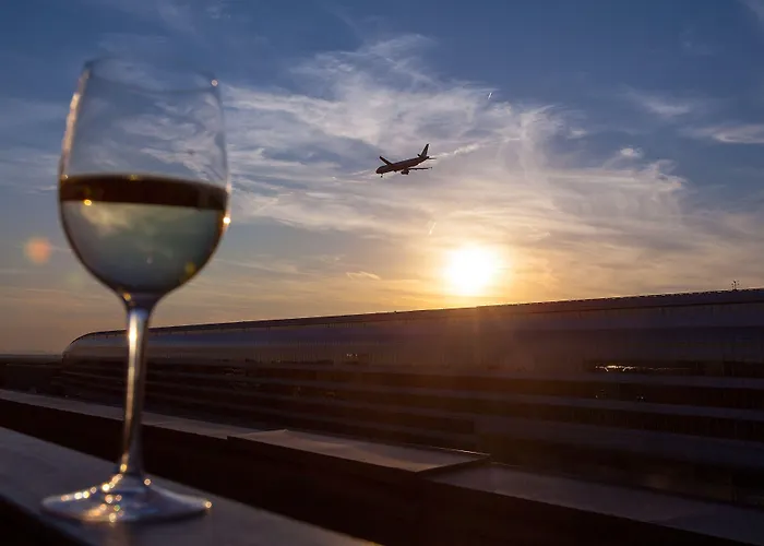 Sheraton Frankfurt Airport & Conference Center Hotel Frankfurt nad Mohanem